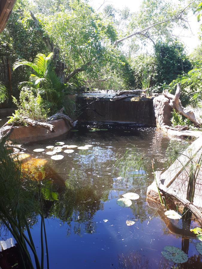 Chinderera Eco Lodge Manguzi Exteriör bild